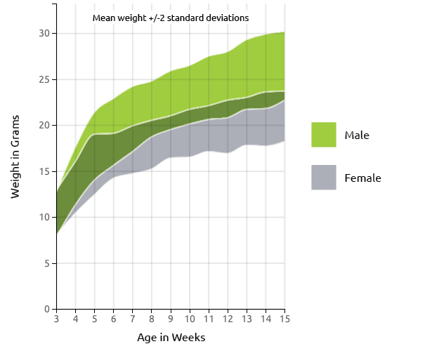 BALB/c Mice Charles River